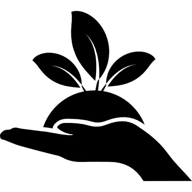 Consultanta