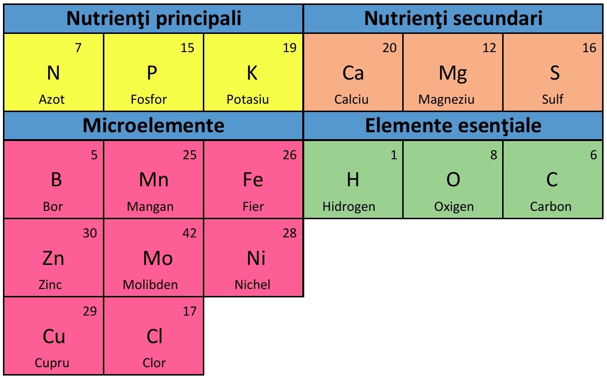 Minerale de baza